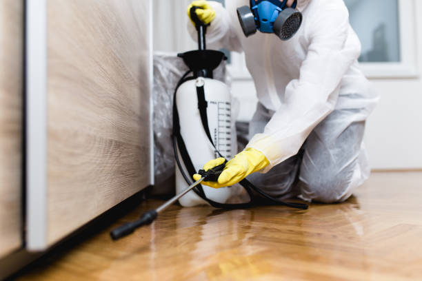 Best Best Pest Control Companies  in Katy, TX