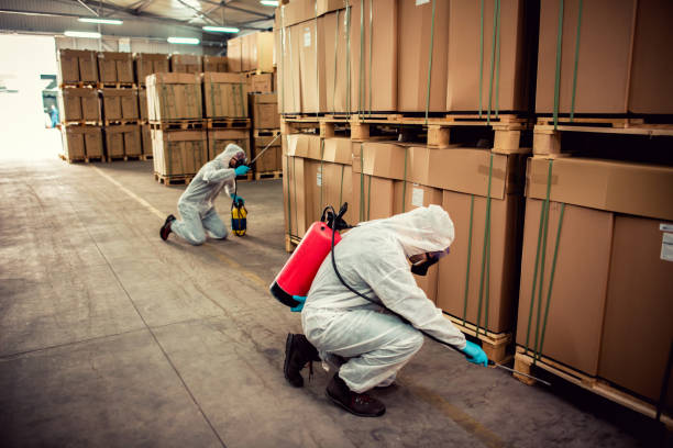 Wasp Removal Services in Katy, TX