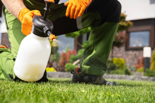 Best Wildlife Control Services  in Katy, TX