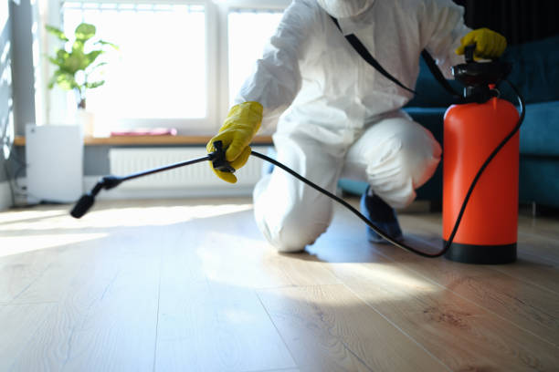 Trusted Katy, TX Pest Control Experts