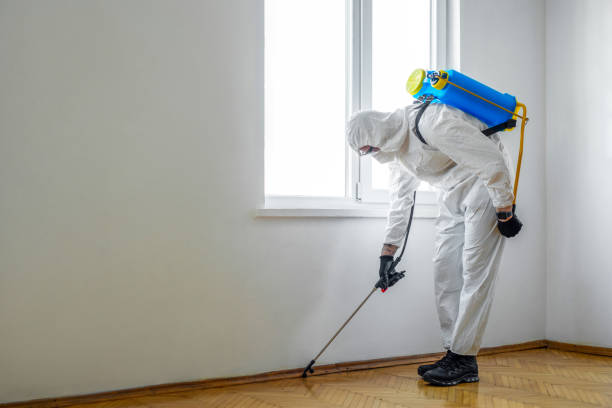 Best Best Pest Control Companies  in Katy, TX
