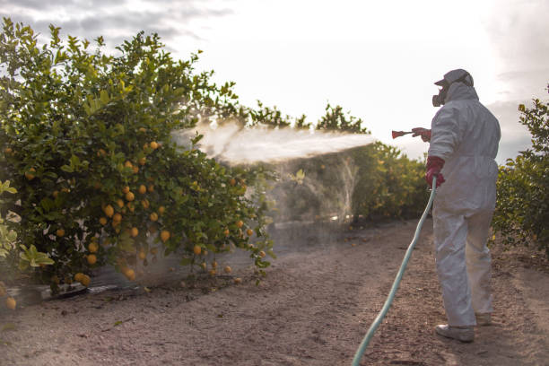 Best Mosquito Control Services  in Katy, TX