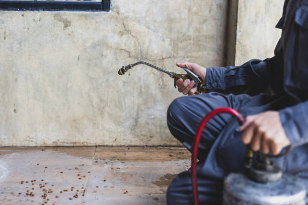 Best Best Pest Control Companies  in Katy, TX