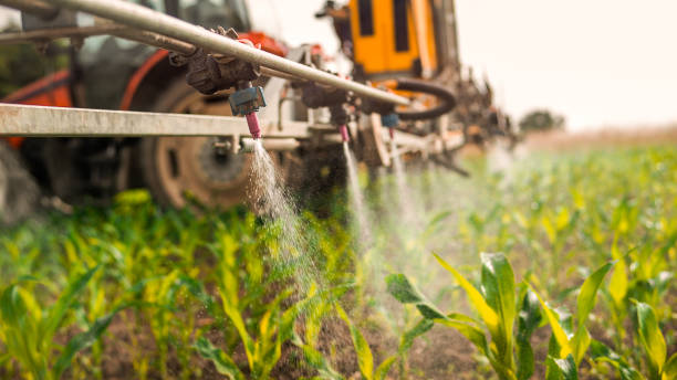 Best Commercial Pest Control Services  in Katy, TX